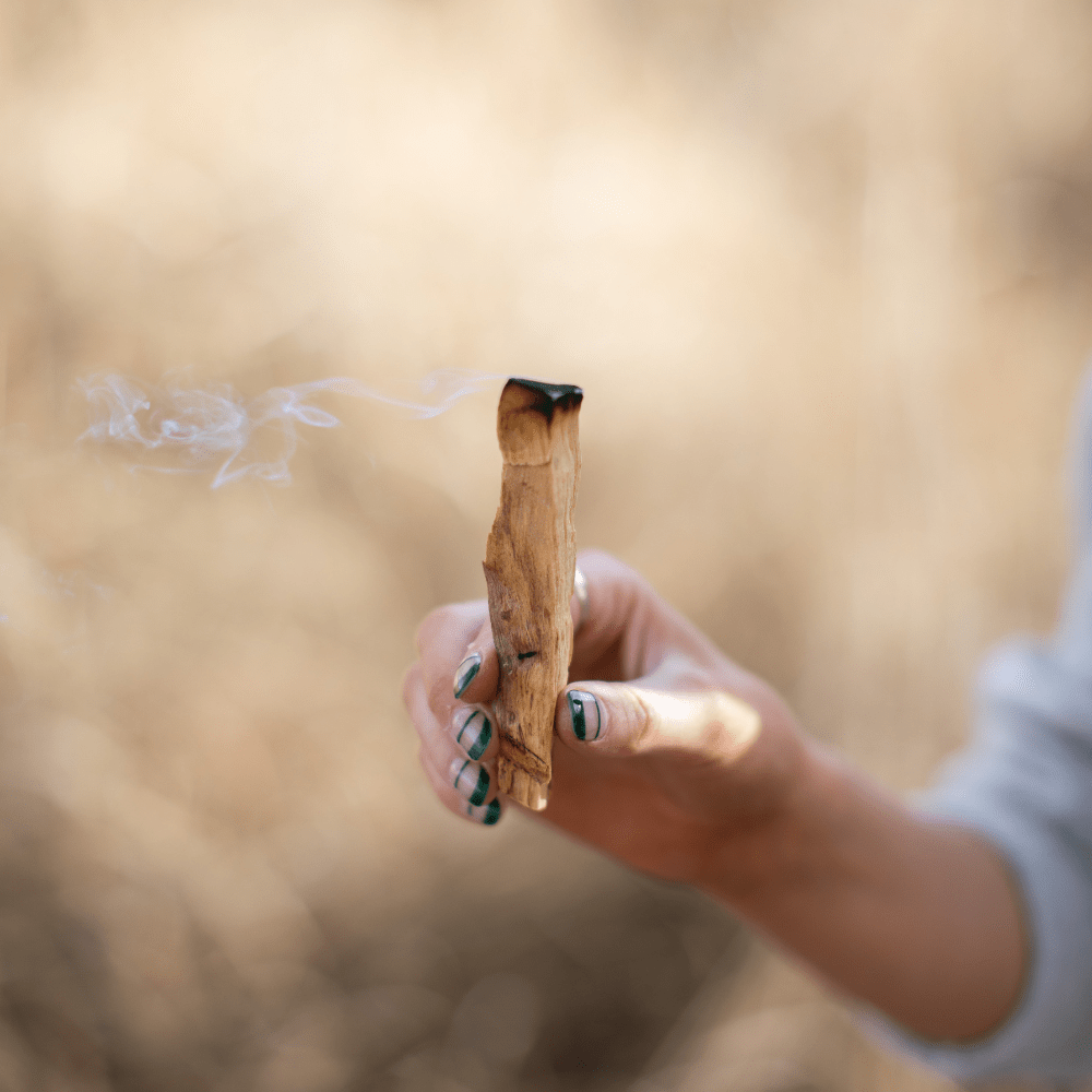 Earths Elements Wellness Palo Santo Single Stick Bundle, 1 kg