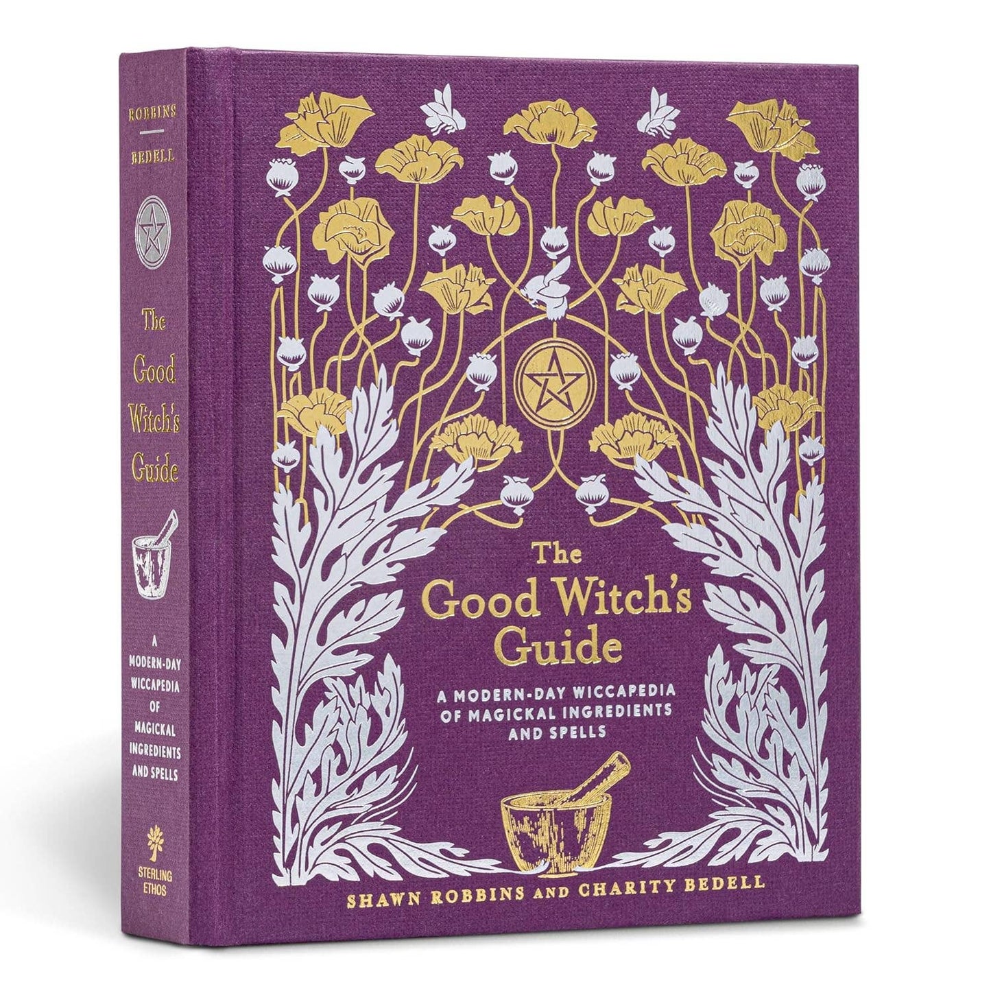 Union Square & Co. Good Witch's Guide by Shawn Robbins
