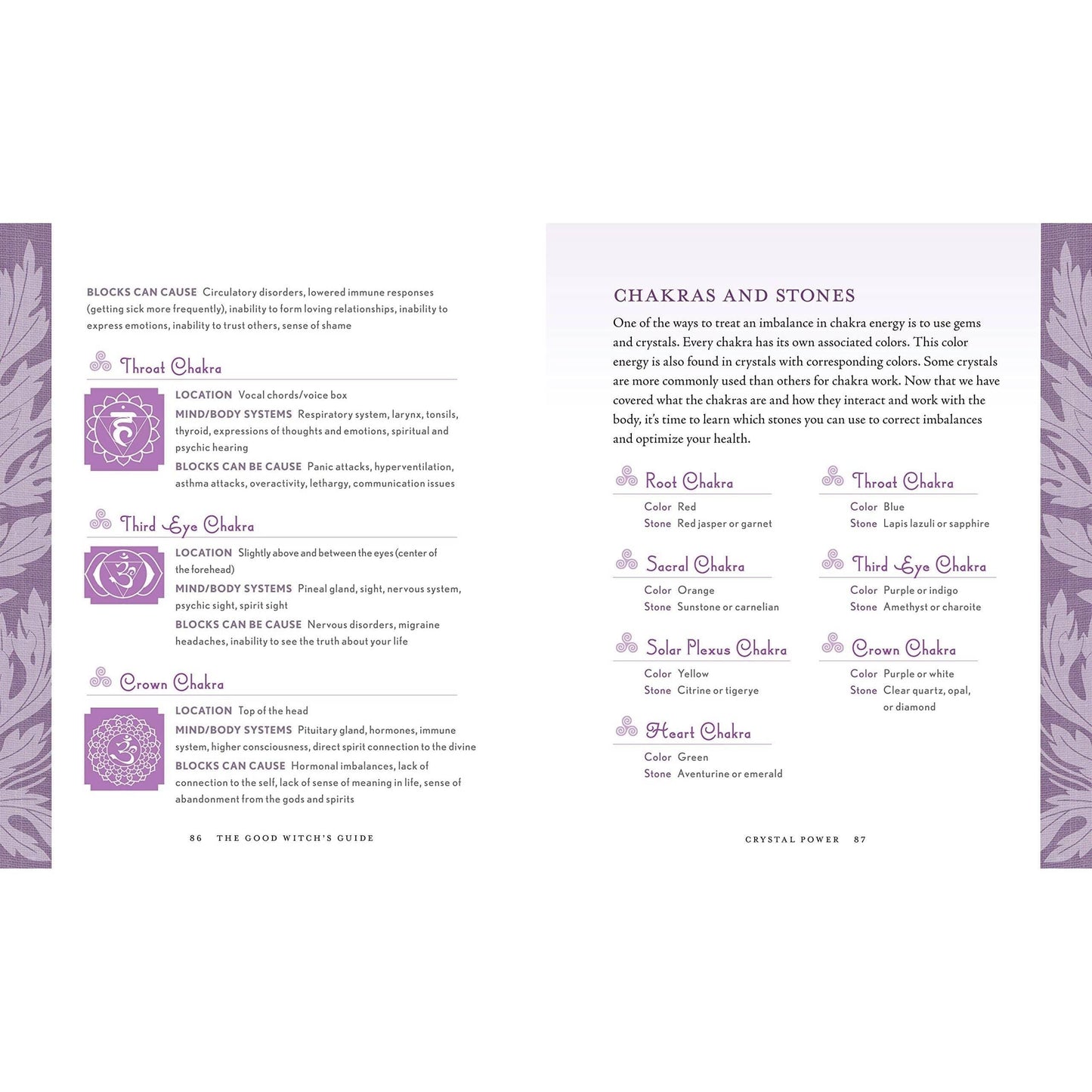 Union Square & Co. Good Witch's Guide by Shawn Robbins