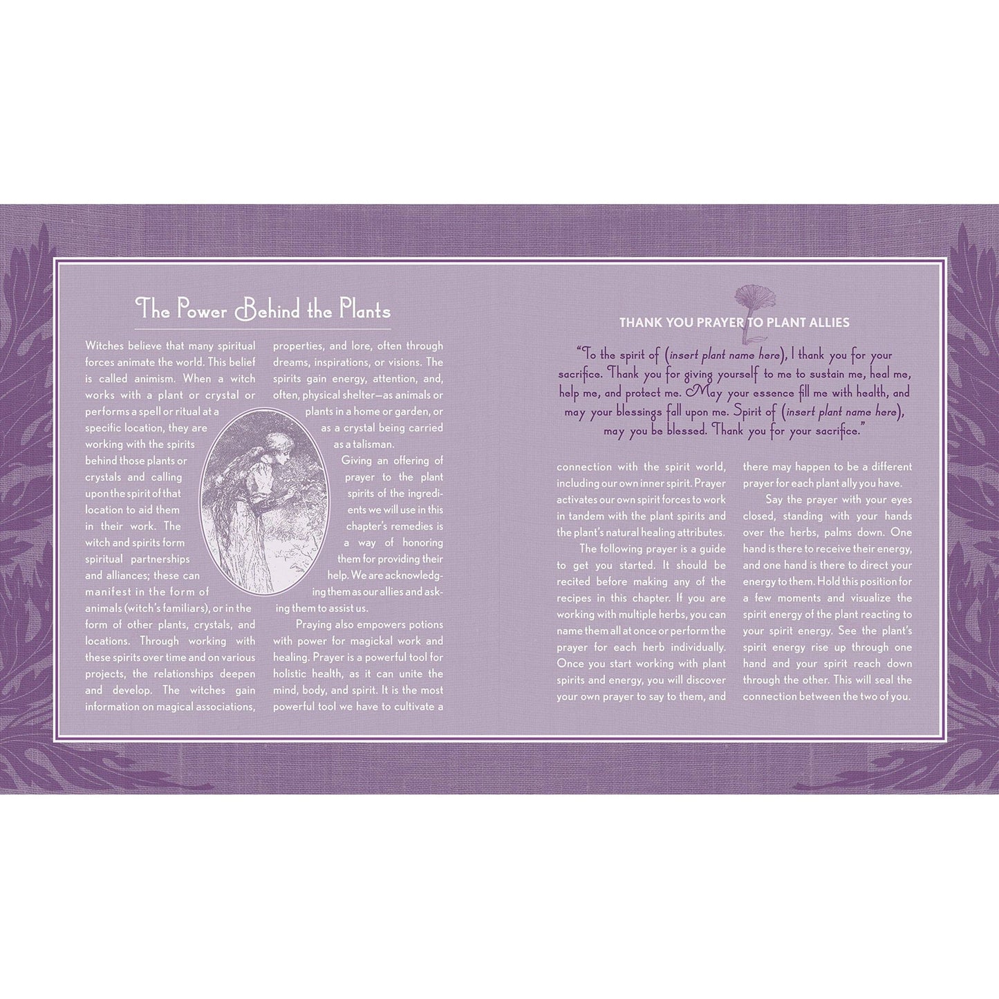 Union Square & Co. Good Witch's Guide by Shawn Robbins