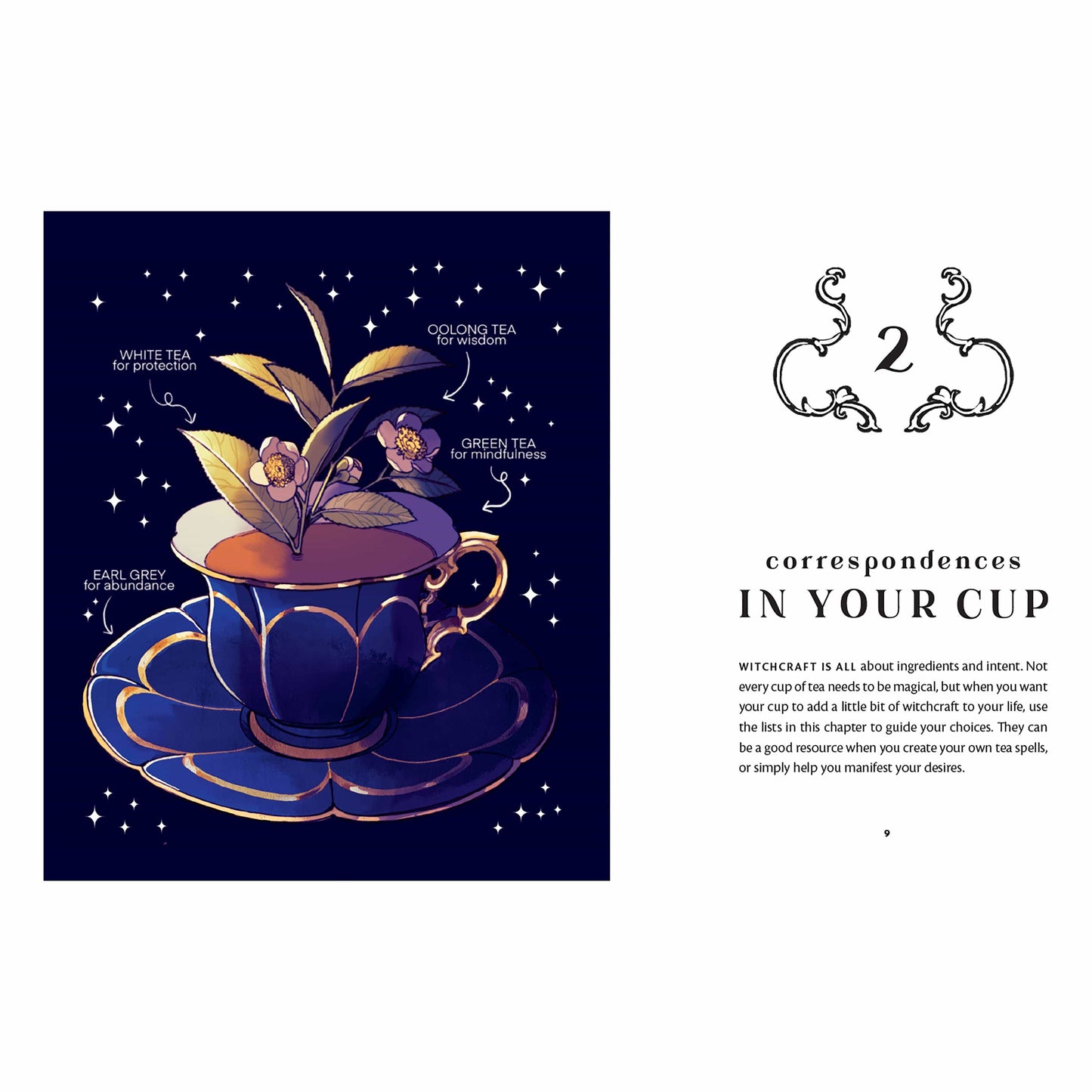 Union Square & Co. Tea Magic: Cozy Spells in a Cup