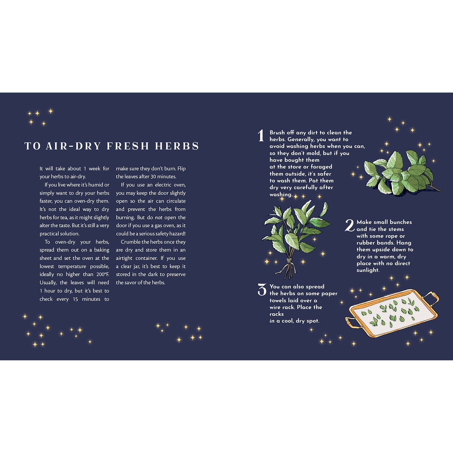 Union Square & Co. Tea Magic: Cozy Spells in a Cup