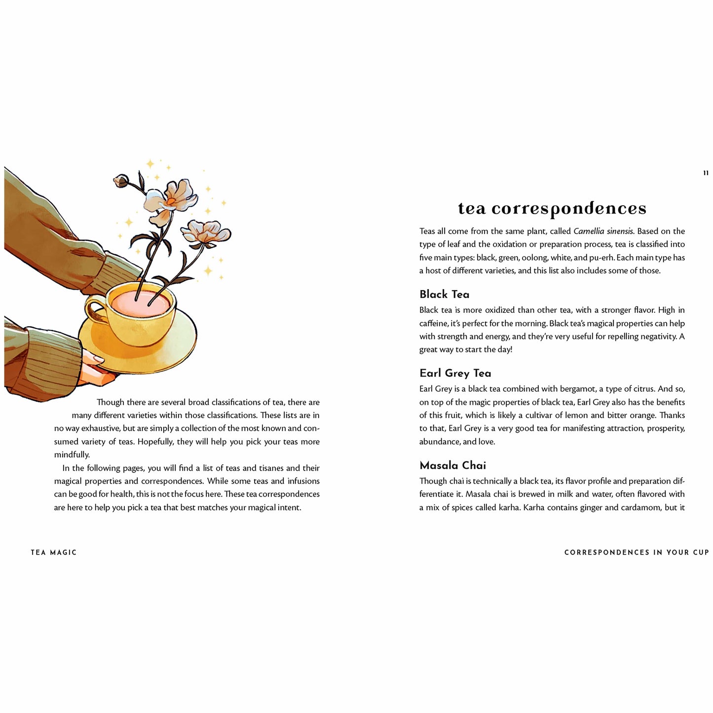 Union Square & Co. Tea Magic: Cozy Spells in a Cup