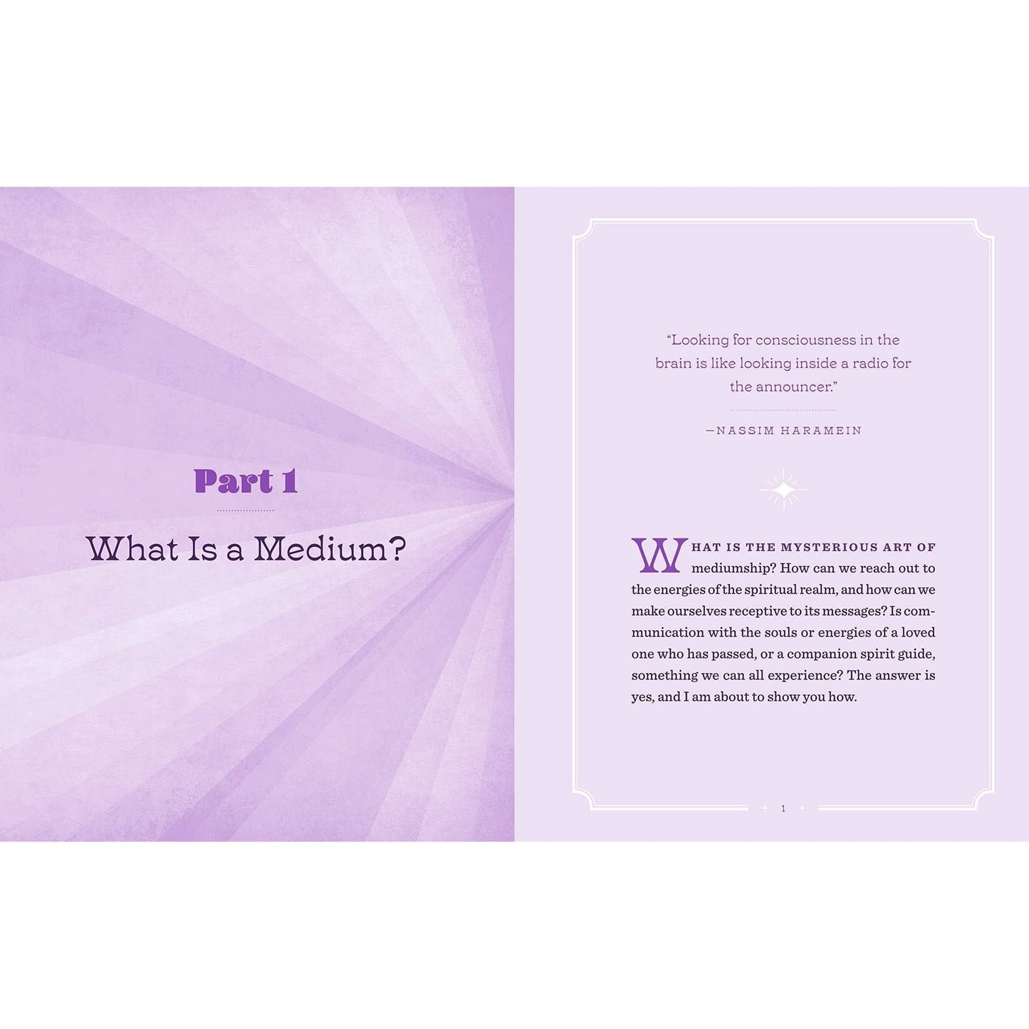 Union Square & Co. Vibes from the Other Side by Catharine Allan