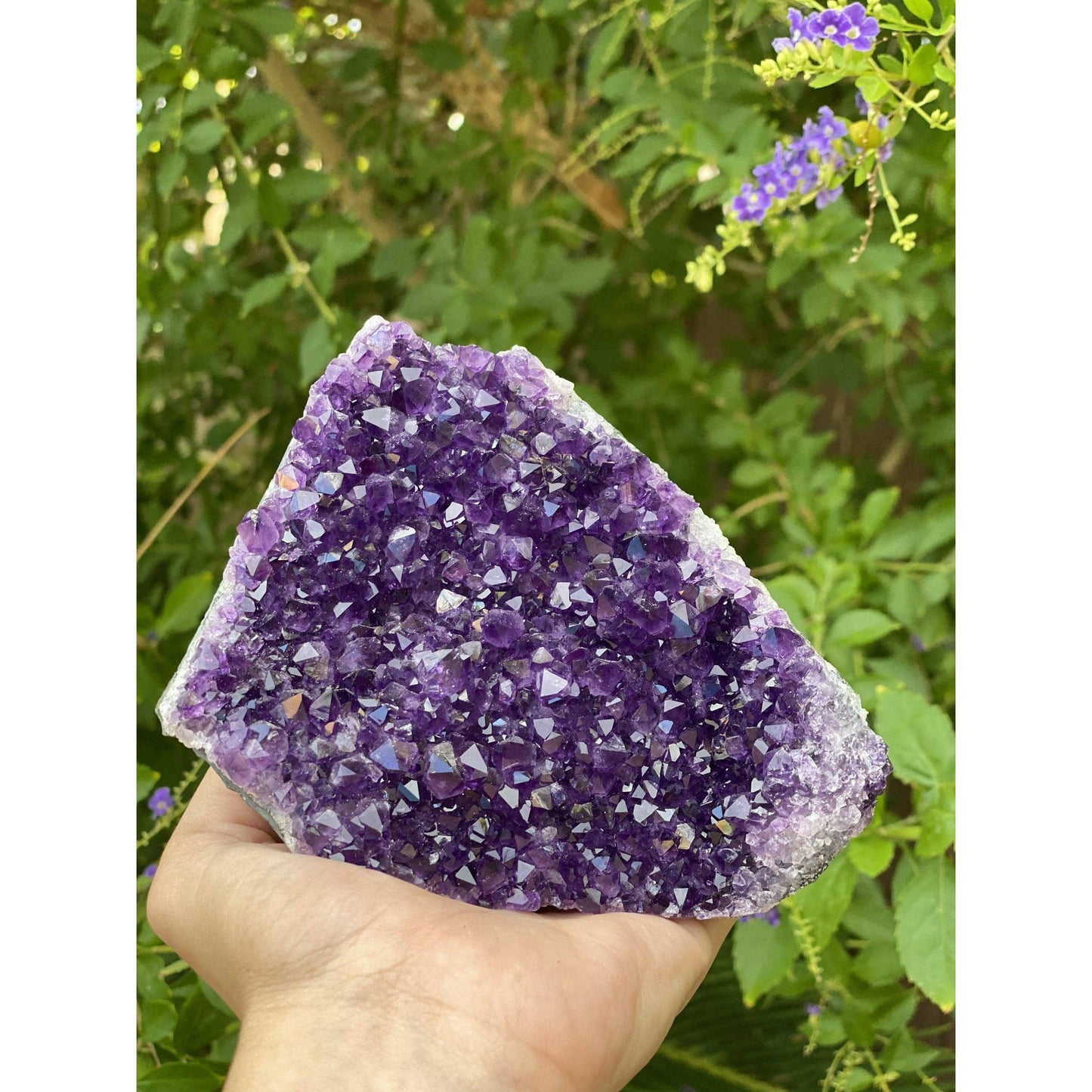 ETSY 8504 Raw Amethyst Base 1 lb 5 oz | Purple amethyst | Amethyst base | Great gift