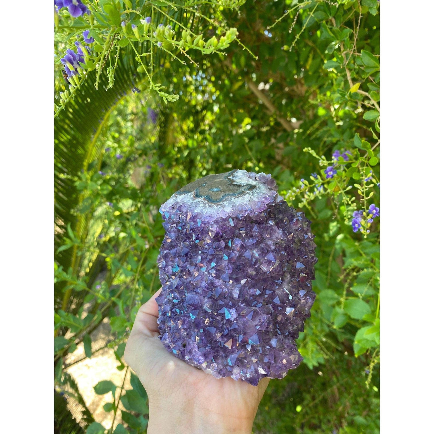 ETSY 8504 Raw Amethyst Base 3 lb 6 oz | Purple amethyst | Amethyst base | Great gift