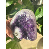 Polished amethyst base weighing 2 lbs, showcasing a deep purple hue and smooth finish, perfect for healing, meditation, and home decor.