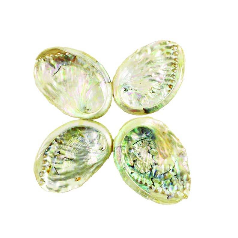 Threaded Abalone Shells (3-4 in.) - Unearthed Vibes