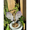 Elegant Amethyst Wings on a Stand for home décor and meditation.