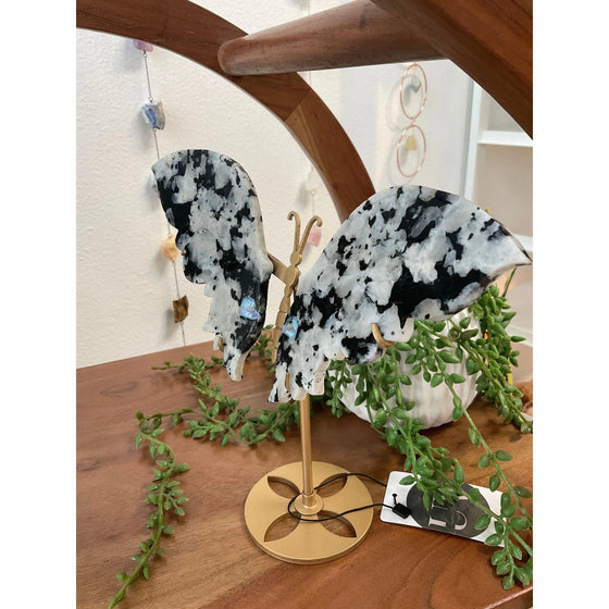 ETSY 8504 Moonstone butterfly wing set on stand | Home or Office Decor