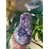 i_did Buy Polished Amethyst Base - 3 lbs 4 oz | Purple Amethyst Crystal | Healing Stone | Perfect Gift