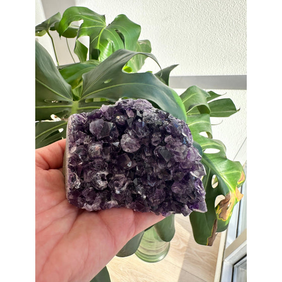 i_did Buy Raw Amethyst Base - 1 lb 1 oz | Purple Amethyst Crystal | Healing Stone | Perfect Gift