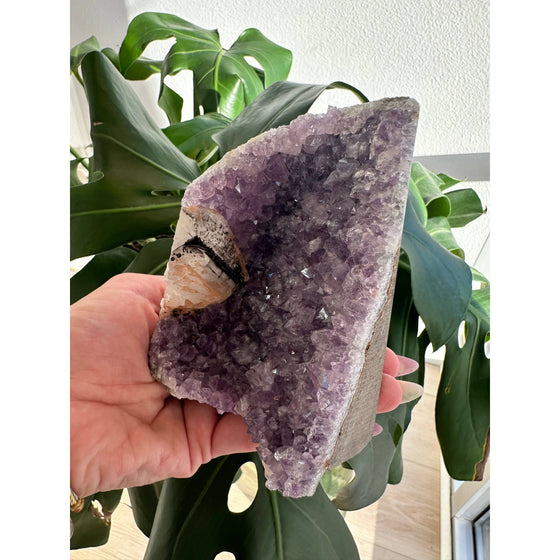 i_did Raw Amethyst Base 1 lb 11 oz | Purple amethyst | Amethyst base | Great gift