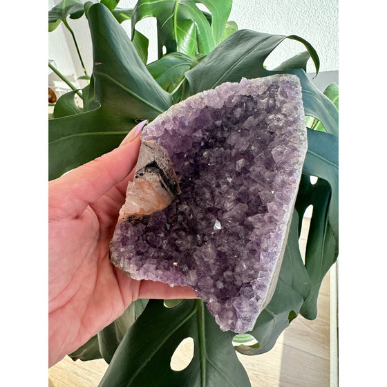 i_did Raw Amethyst Base 1 lb 11 oz | Purple amethyst | Amethyst base | Great gift