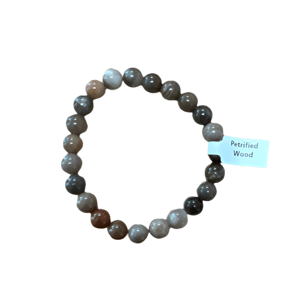 Unearthed Vibes Jewlery Buy Polished Petrified Wood Bracelet - Elegant Healing Stone | Perfect Gift for Love and Wellness
