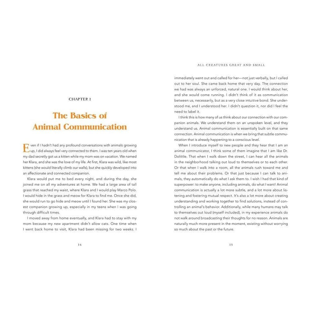 Union Square & Co. Animal Intuition: Communicating with Pets, Spirits & Energy