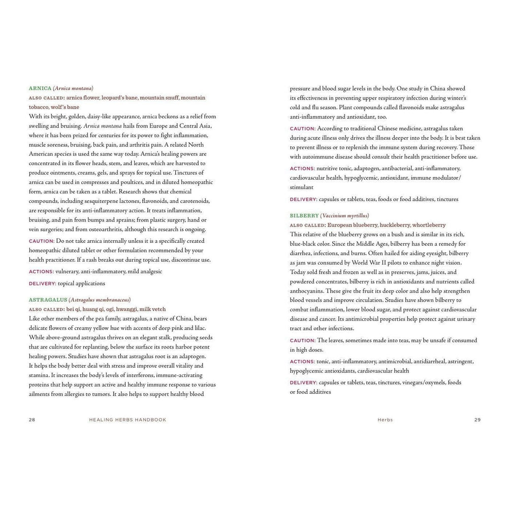 Union Square & Co. Healing Herbs Handbook: Recipes for Natural Living