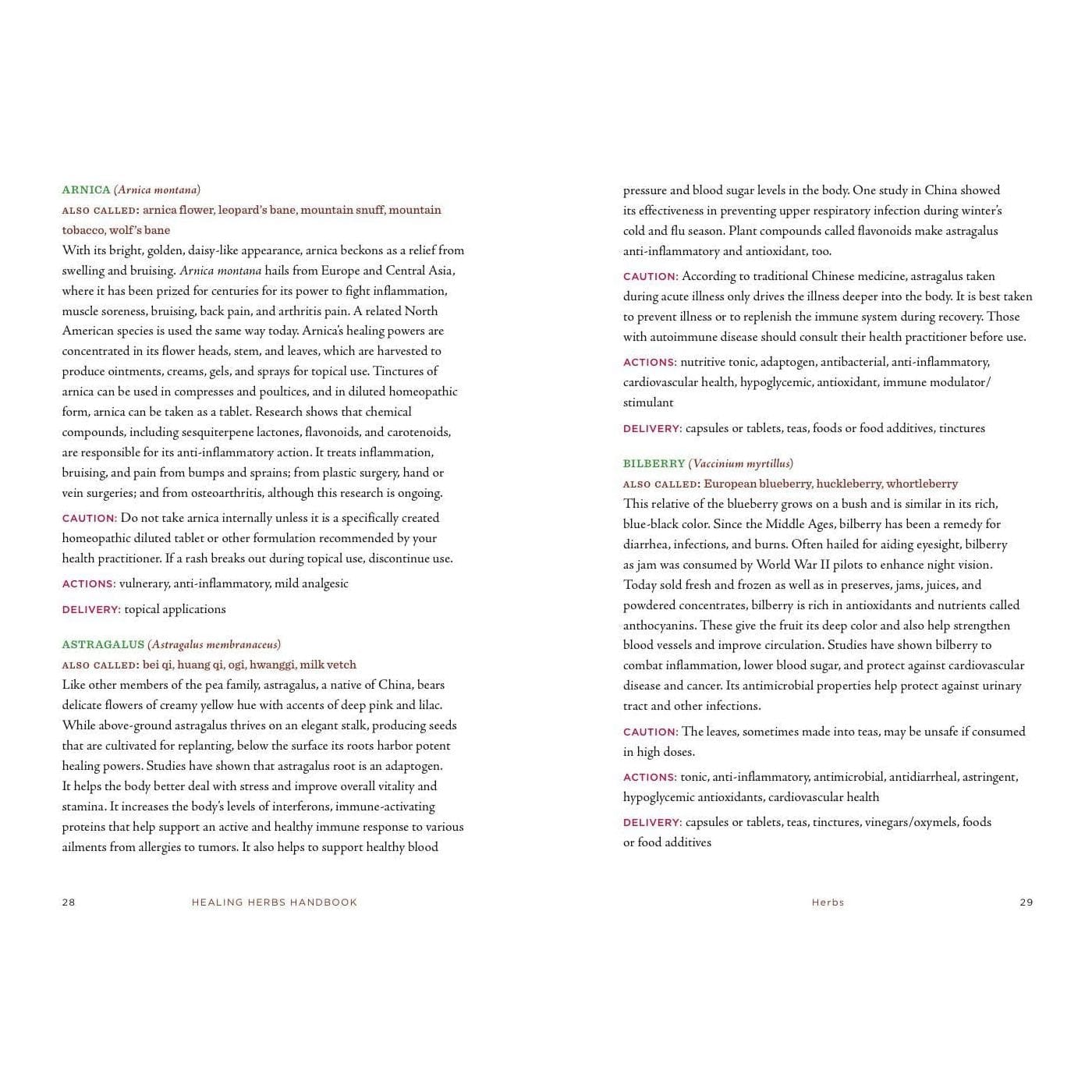 Union Square & Co. Healing Herbs Handbook: Recipes for Natural Living