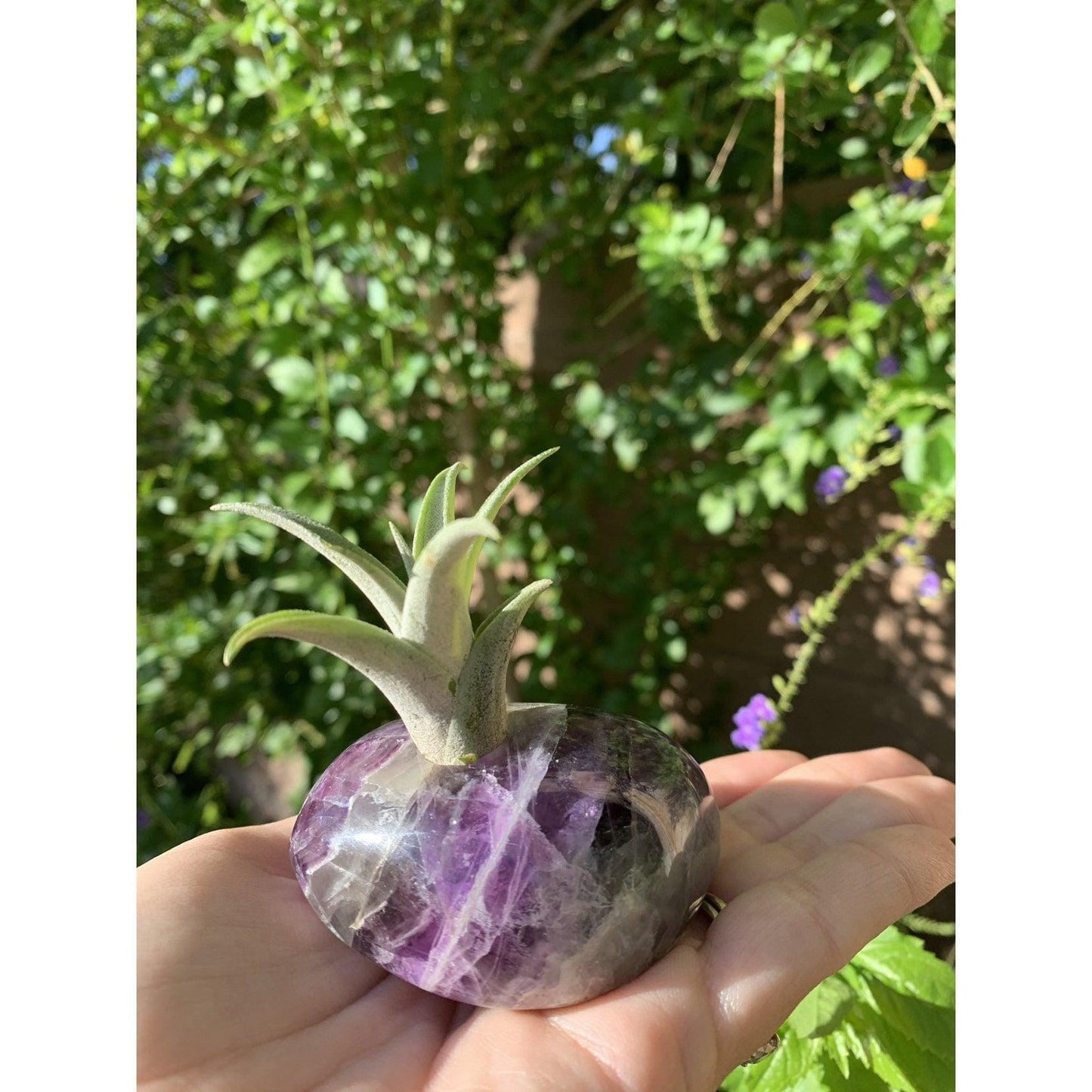 ETSY 8504 Fluorite Pen Holder | Crystal Accent | Perfect Office & Home Decor