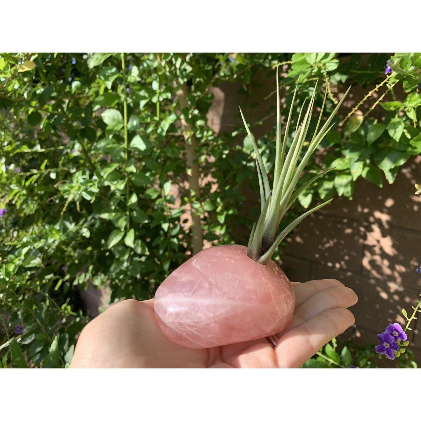 ETSY 8504 Rose Quartz Crystal Accent |  Home and Office Decor | Great Gift