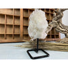 i_did Raw (Cluster) Clear Quartz on a metal stand 1 lb 11 oz | Quartz Cluster in a stand | Clear Quartz | Great gift