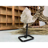 i_did Raw (Cluster) Clear Quartz on a metal stand 11 oz | Quartz Cluster in a stand | Clear Quartz | Great gift