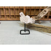 i_did Raw (Cluster) Clear Quartz on a metal stand 11 oz | Quartz Cluster in a stand | Clear Quartz | Great gift