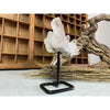 i_did Raw (Cluster) Clear Quartz on a metal stand 11 oz | Quartz Cluster in a stand | Clear Quartz | Great gift