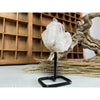 i_did Raw (Cluster) Clear Quartz on a metal stand 11 oz | Quartz Cluster in a stand | Clear Quartz | Great gift