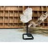 i_did Raw (Cluster) Clear Quartz on a metal stand 11 oz | Quartz Cluster in a stand | Clear Quartz | Great gift