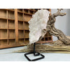 i_did Raw (Cluster) Clear Quartz on a metal stand 2 lbs | Quartz Cluster in a stand | Clear Quartz | Great gift