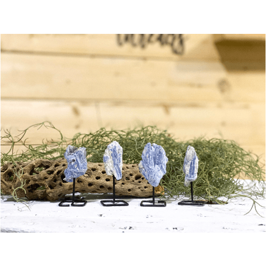 Melan Threads Blue Kyanite on a pin stand | Natural Crystal on metal stand