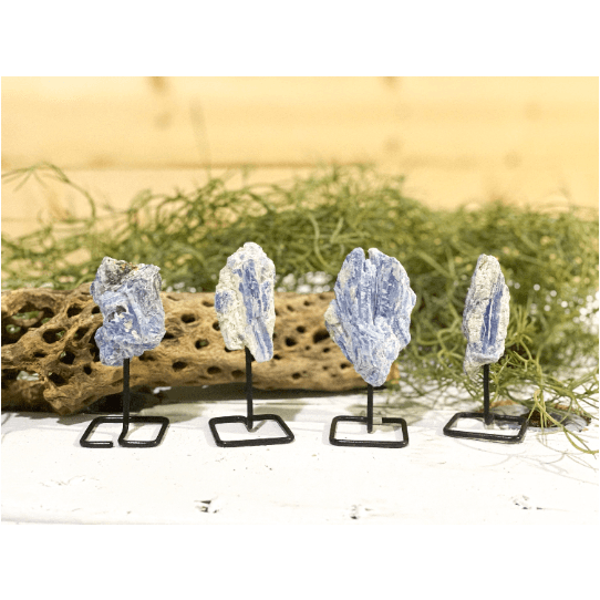 Melan Threads Blue Kyanite on a pin stand | Natural Crystal on metal stand