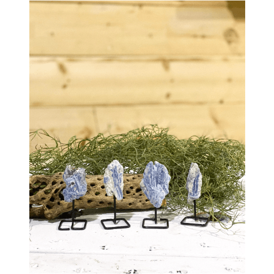 Melan Threads Blue Kyanite on a pin stand | Natural Crystal on metal stand